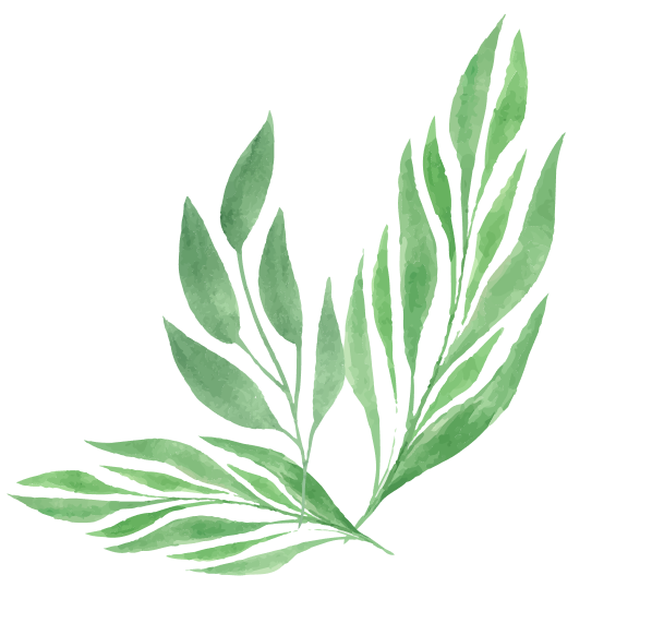 Garden Deco Materiaux Paysagers Morbihan Garden Deco Fleurs