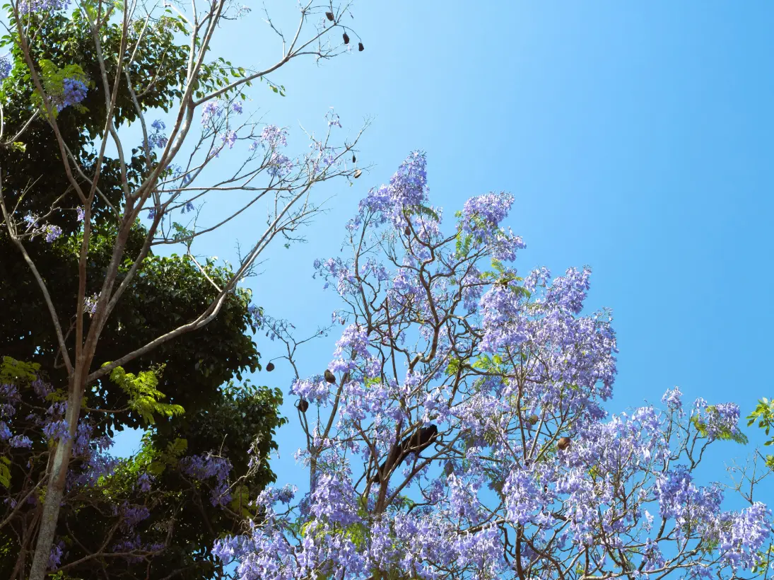 Garden Deco Materiaux Paysagers Morbihan Nos Services 11